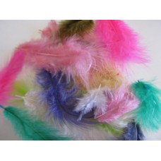 Poultry Feather